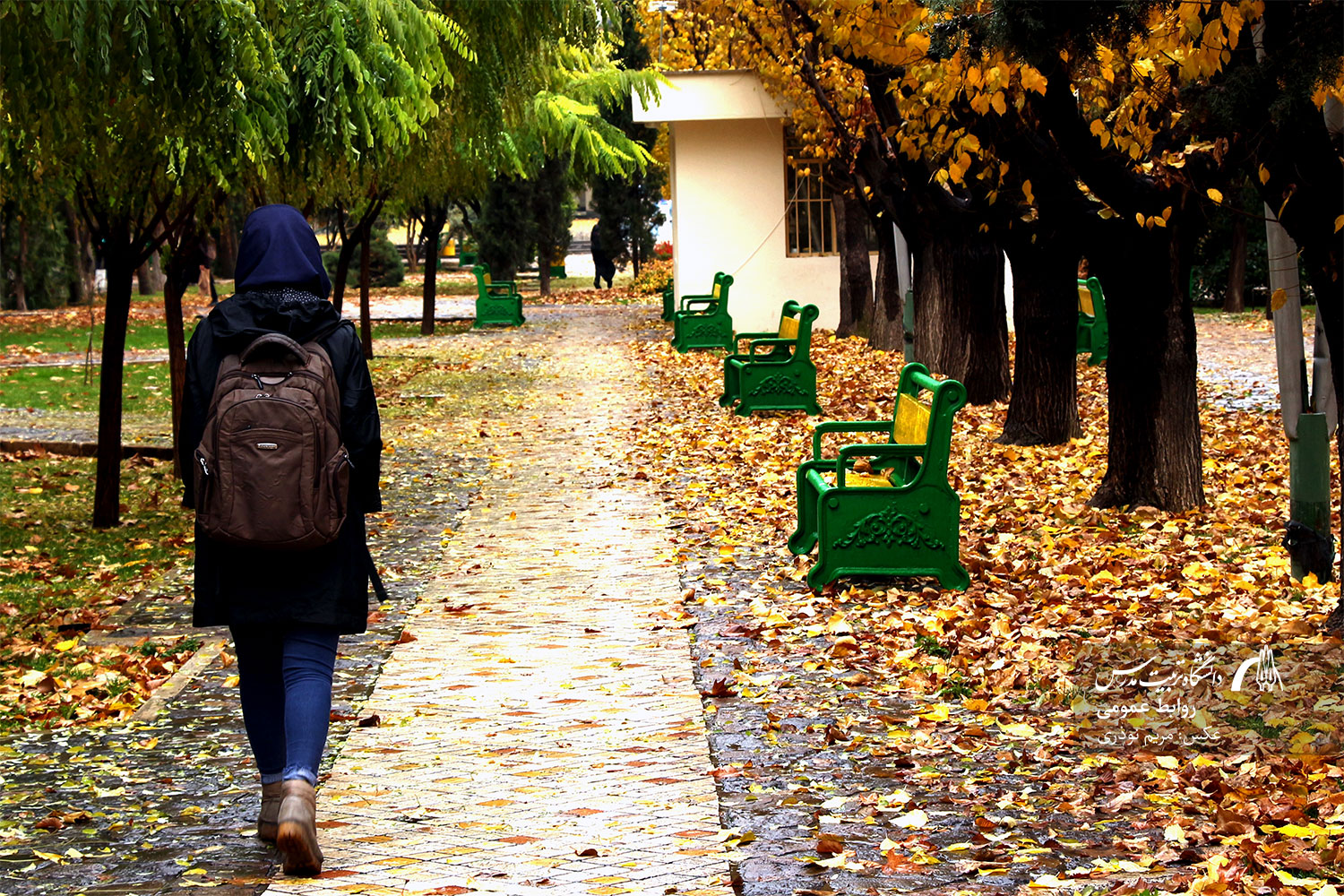 پاییز رنگ رنگ در دانشگاه تربیت مدرس